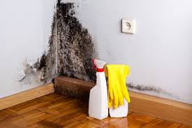 Best Mold Prevention Services  in Sun City, AZ